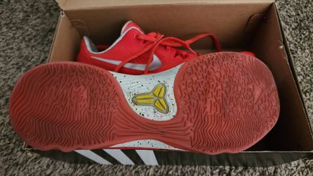 Kobe Bryant Basketball Shoes