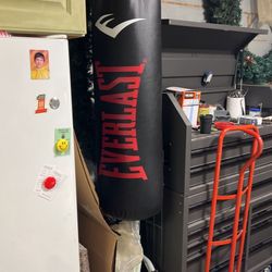 80 Lb Punching Bag