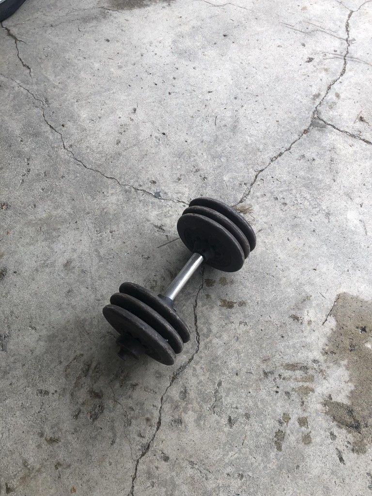 Weights 