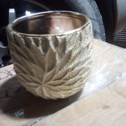 Gold  Cup 