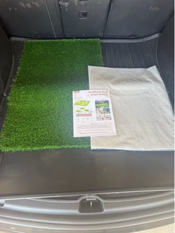 Dog pee pad
