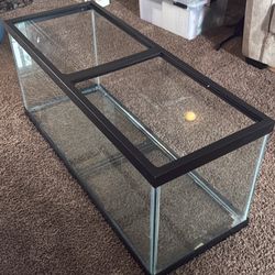 75 Gallon Tank 