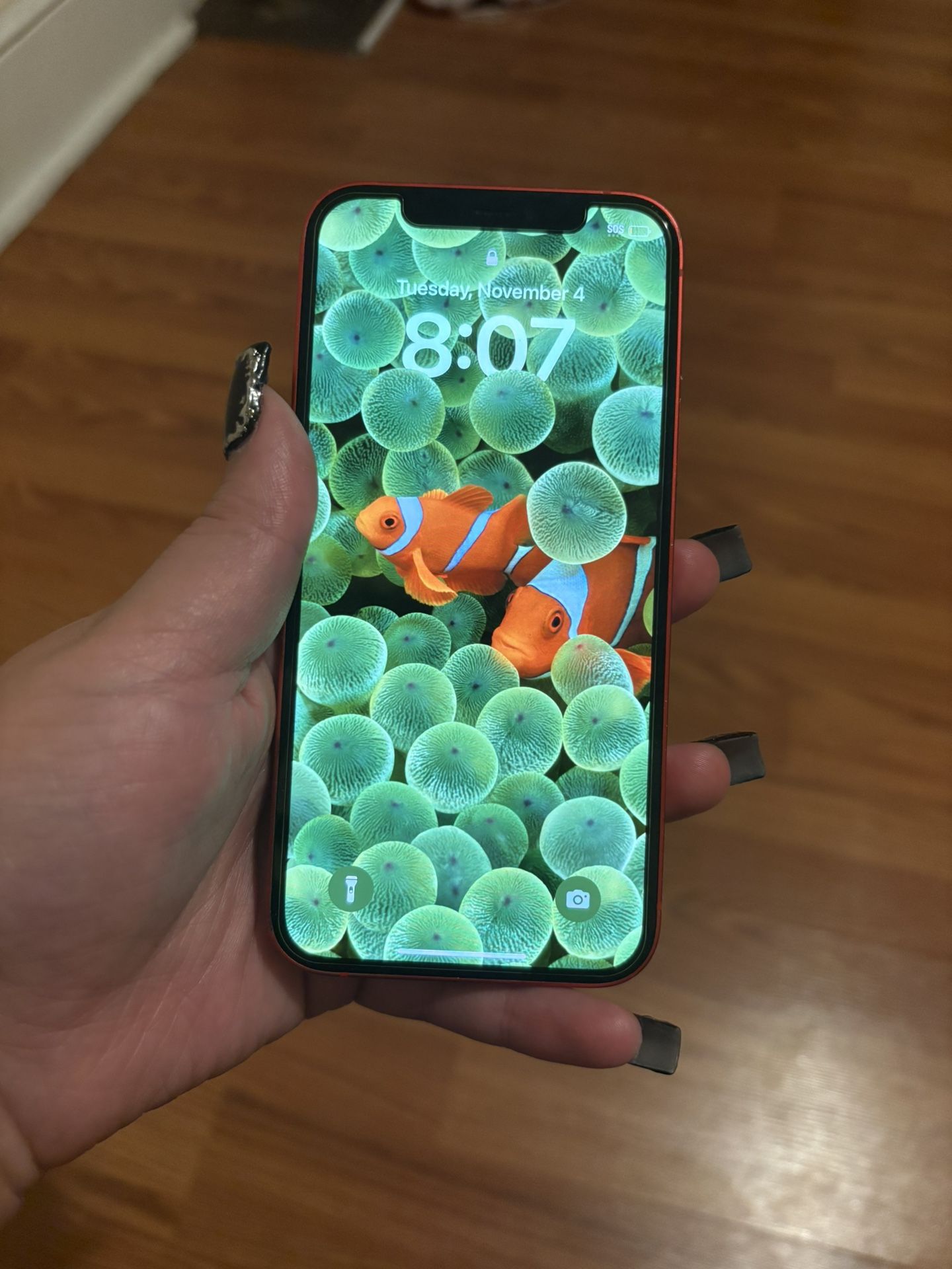 Red iPhone 12 256 Gb 