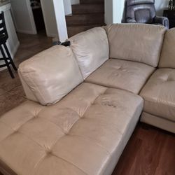 Free  Couch