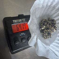 14k White Gold Necklace 