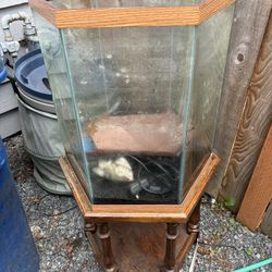 35 Gallon Hex Aquarium 