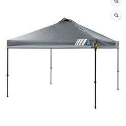 10 X 10 Canopy Tent Brand New Portable Shade Up Tent 