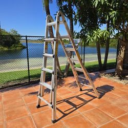 Cosco Multi Function Ladder # 20-221-T1ACWG