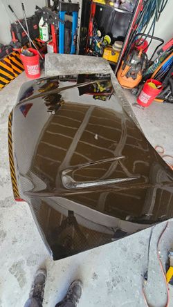 Zc carbon fiber hood