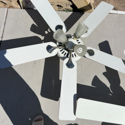 Ceiling Fans 