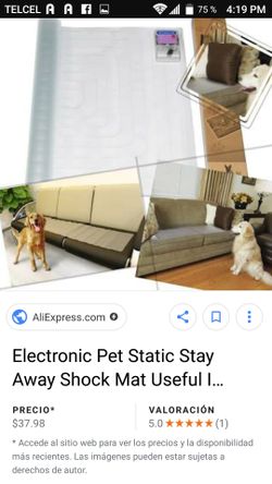 Electronic pet mat