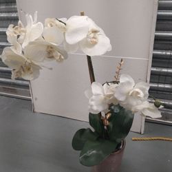 Orquerias Artificiales 😃😃😃😃para Decoracion