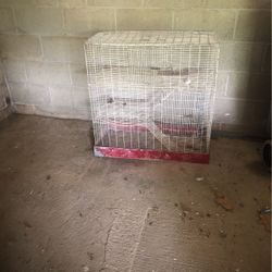 Bunny Cage 