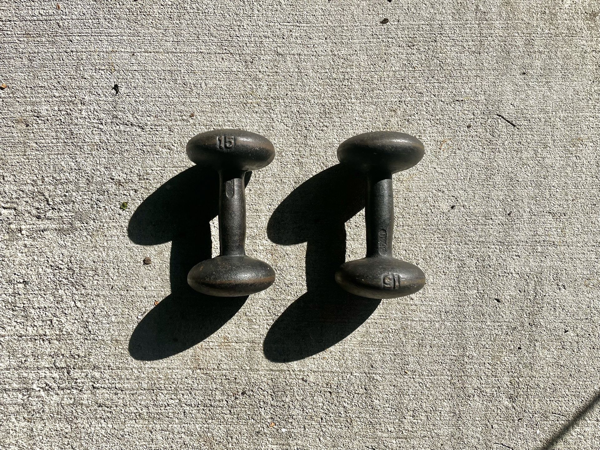 15lb Dumbbells