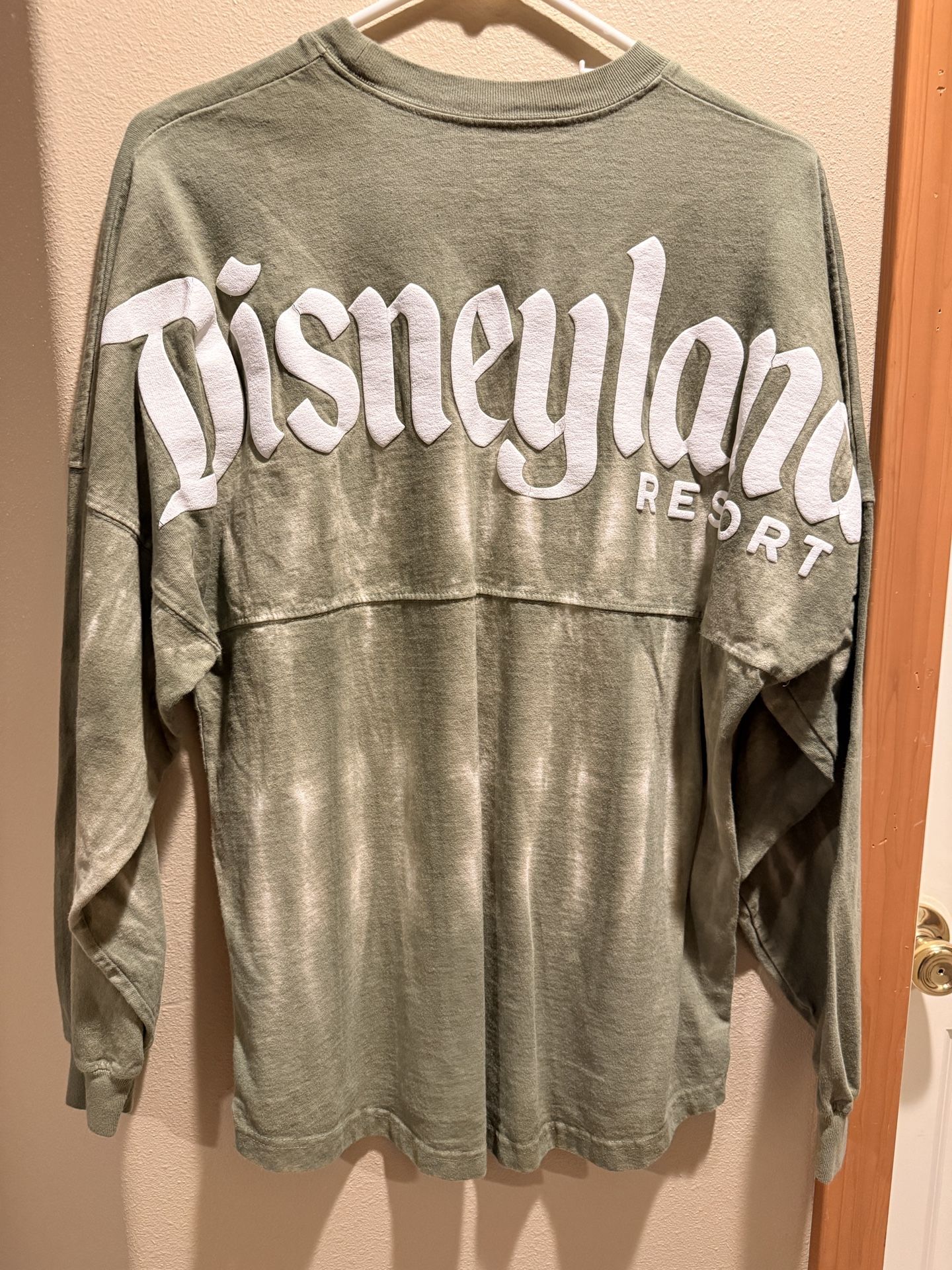 Disneyland Spirit Jersey
