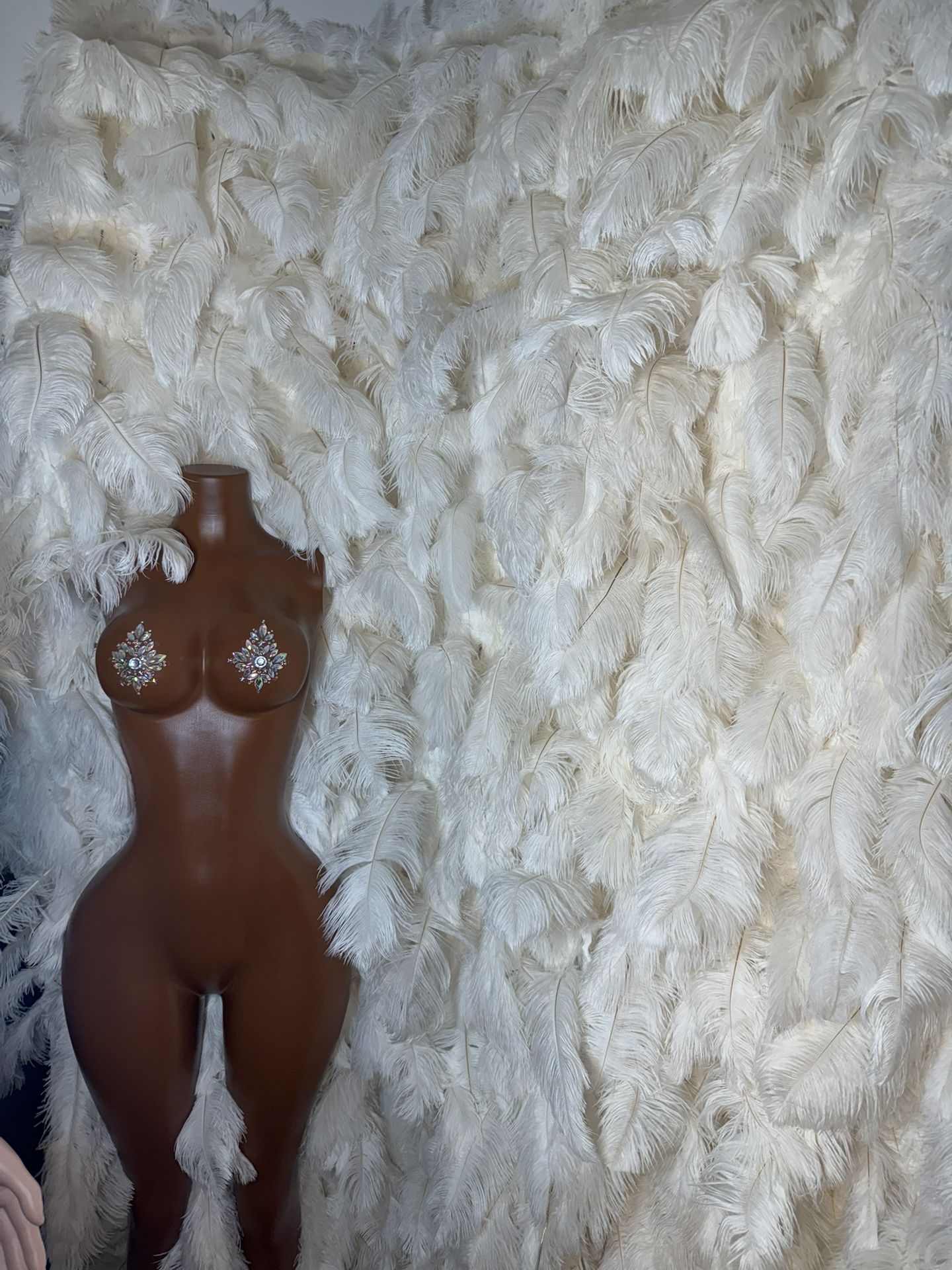 Bridal Baby Shower Backdrop Luxury Ostrich Feather Wall Like New Wedding Decorations 