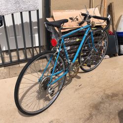 Fuji Sport 10 Bike