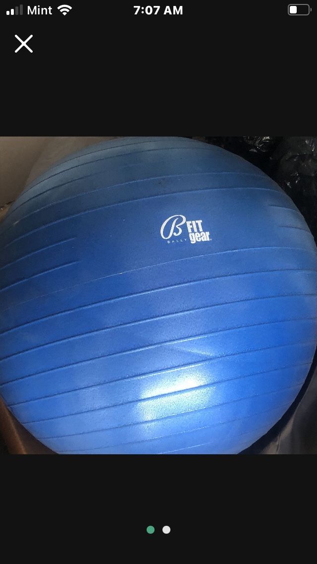 Bali Exercise ball