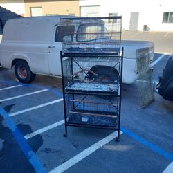 Bird Cages 3 With Rolling Rack