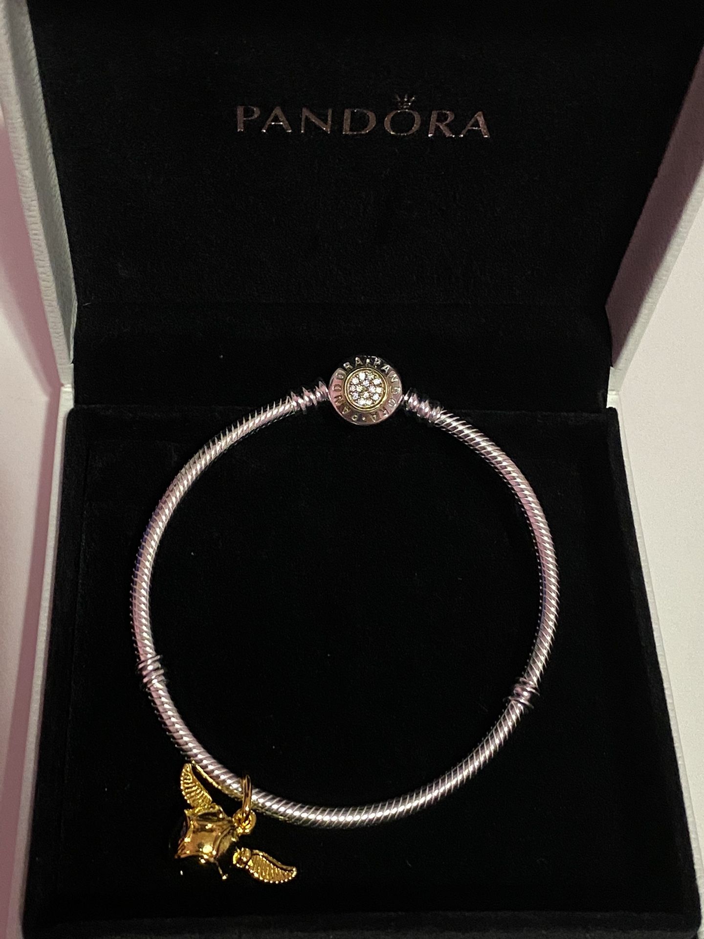 Pandora Charm and Bracelet