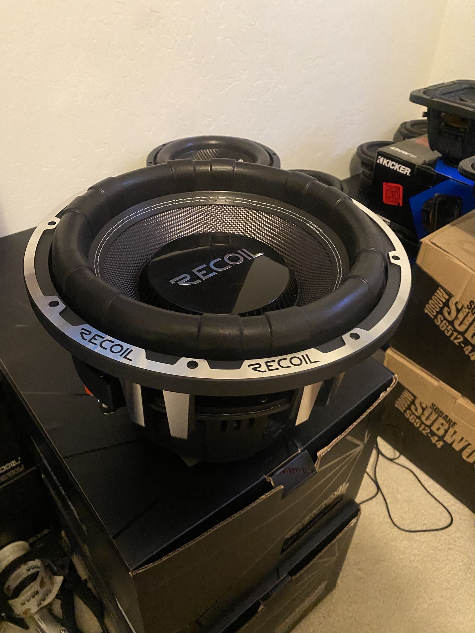 12” Subwoofer 