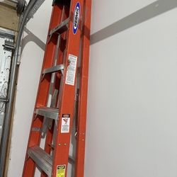 8 Foot Ladder