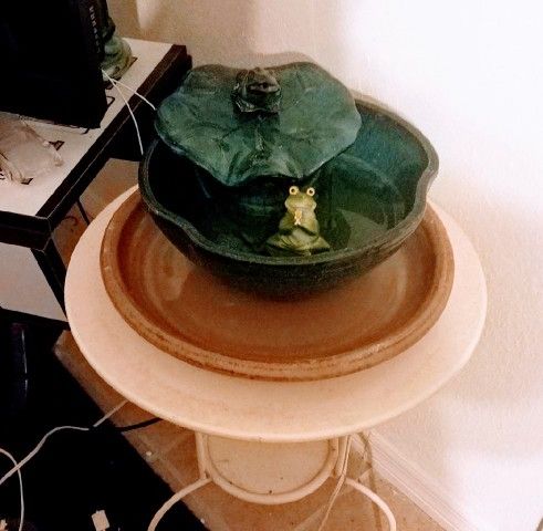 Frog Fountain