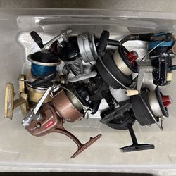 6 Saltwater Spinning Reels