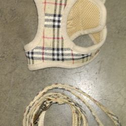 Matching Leash And Harness  6ft Leash Size Small Harness