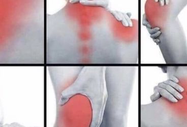 Trabajas Paradas 🦵