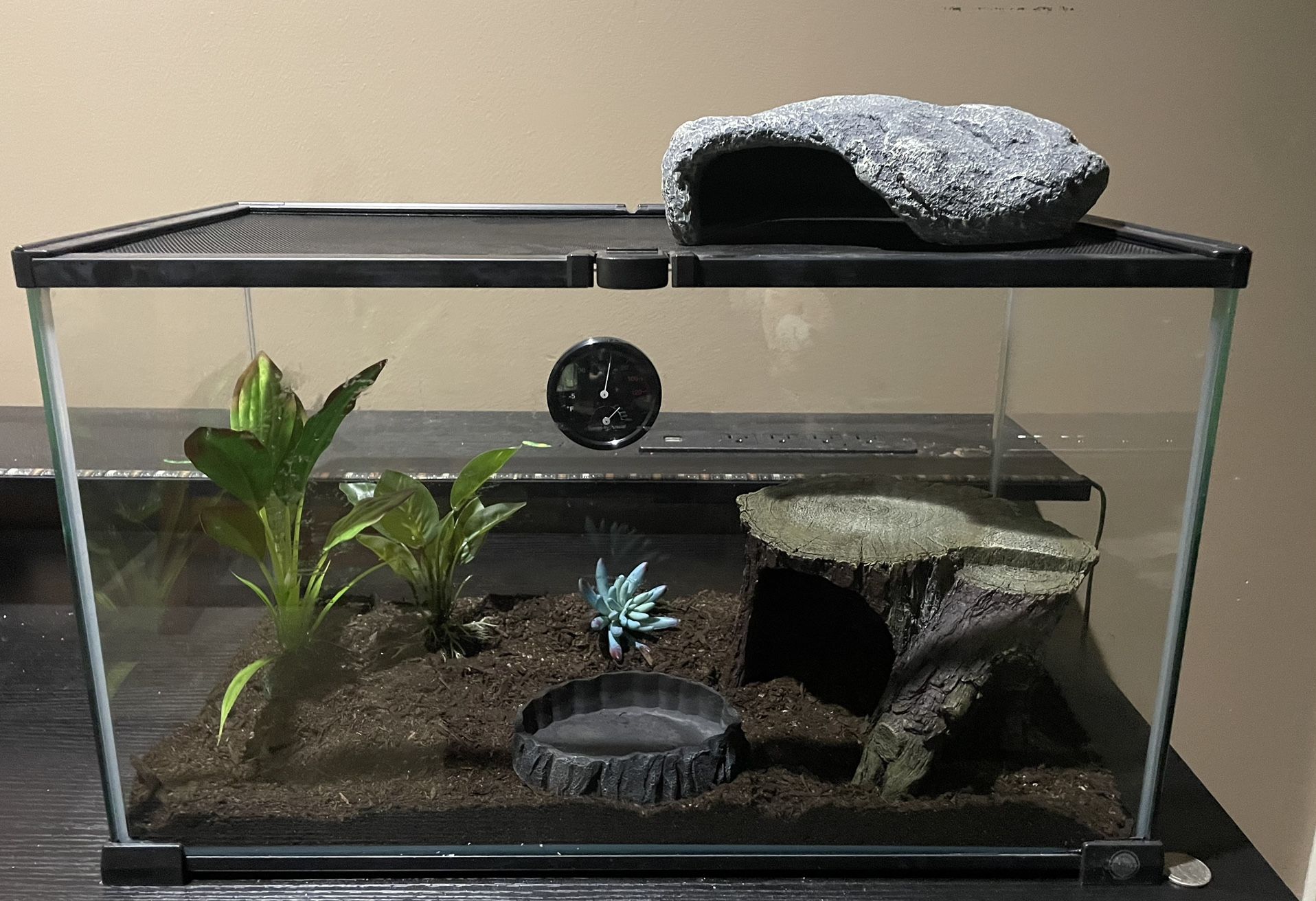 Reptile Terrarium - 10 Gallon