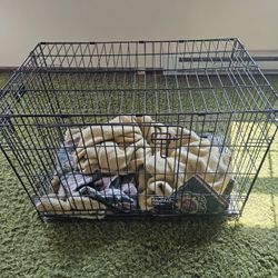 Cage