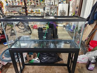 55 Gallon Fish Tank