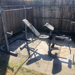 Work Out Bench + Weights +bar+ Hex Bar