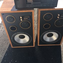 2 12 Inches Speakers 🔊 ANd. Amp