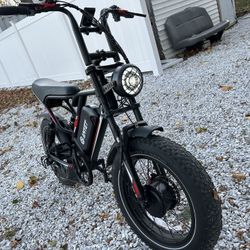 E Bike 2000w Dual Motor 