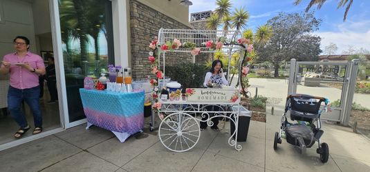 Large Cinderella Party Cart