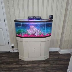 Fish tank with stand 30 Gal