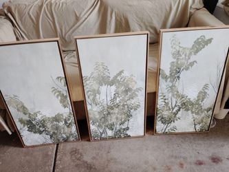 Picture set