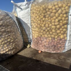 Potato 1 Ton 