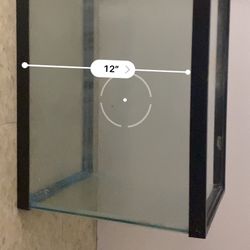 Fish Tank 