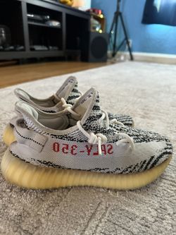 Used Zebra 350 V2 U.S 8.5