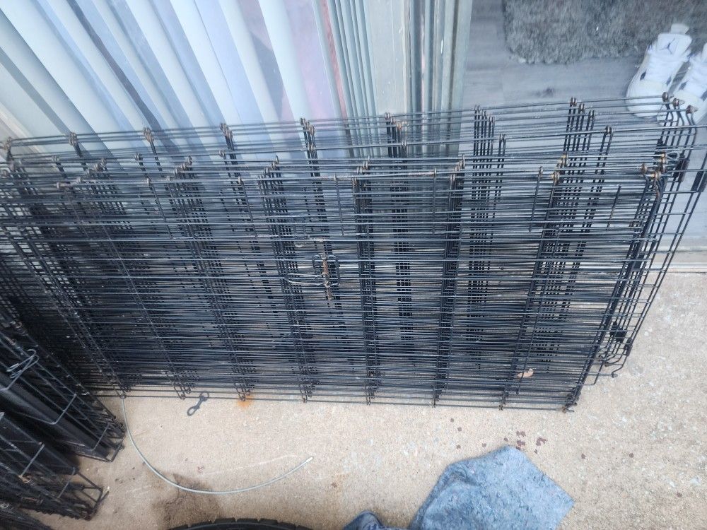 Dog Fencing
