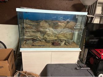 100 gallon fish