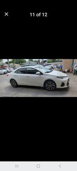 Toyota Corolla Sedan White