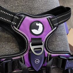 Joytale Light Up Dog Harness, No Pull Dog Harness Usb Rechargeable For