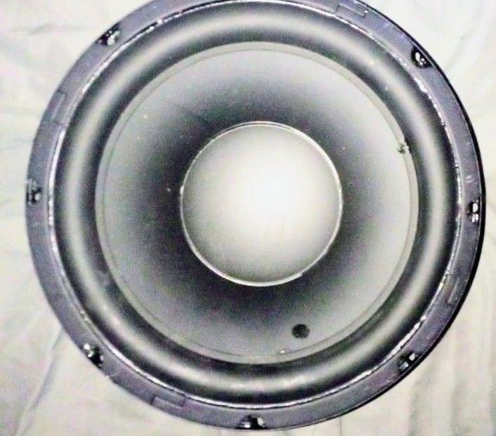 10" Subwoofer with Large Magnet Structure