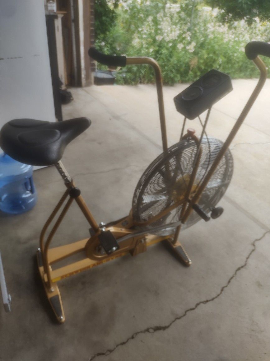 Schwinn Airdyne Assault Bike