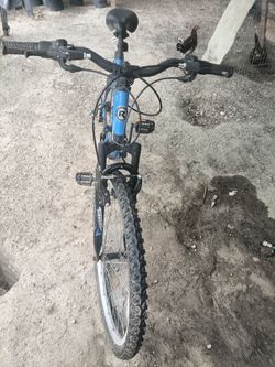 Roadmaster bike