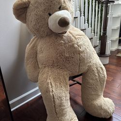 Full Size teddy Bear 